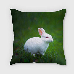 Подушка квадратная Кролик на фоне травы