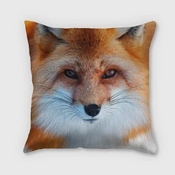 Подушка квадратная Взгляд лисы