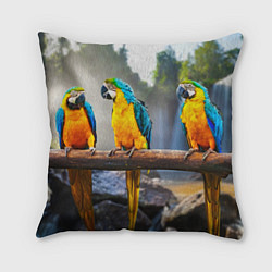 Подушка квадратная Экзотические попугаи, цвет: 3D-принт