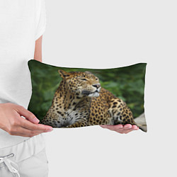Подушка-антистресс Лик леопарда, цвет: 3D-принт — фото 2