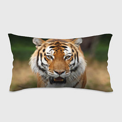 Подушка-антистресс Рык тигра, цвет: 3D-принт