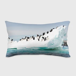 Подушка-антистресс Пингвины на айсберге, цвет: 3D-принт