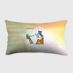 Подушка-антистресс Пикник - Египтянин, цвет: 3D-принт