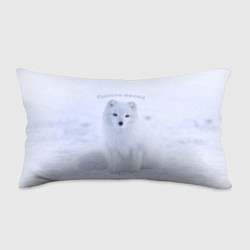 Подушка-антистресс Просто песец на снегу, цвет: 3D-принт