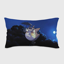 Подушка-антистресс Night flight Totoro, цвет: 3D-принт