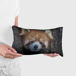 Подушка-антистресс Крaсная панда, цвет: 3D-принт — фото 2