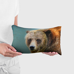 Подушка-антистресс Русский бурый медведь, цвет: 3D-принт — фото 2