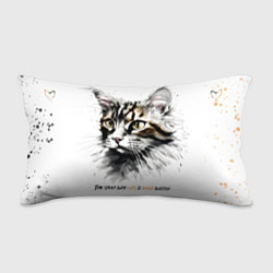 Подушка-антистресс Время с кошкой никогда не потрачено зря, цвет: 3D-принт