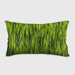 Подушка-антистресс Ландшафт зелень, цвет: 3D-принт