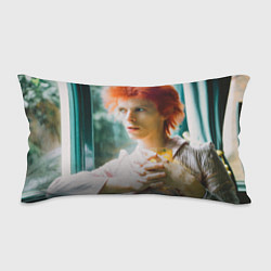 Подушка-антистресс David Bowie in Haddon Hall, цвет: 3D-принт