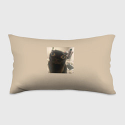 Подушка-антистресс Котик из мема, цвет: 3D-принт