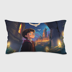 Подушка-антистресс Удивленный Гарри Поттер и сова, цвет: 3D-принт