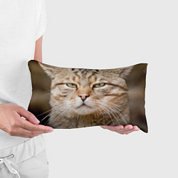 Подушка-антистресс Взгляд кошки, цвет: 3D-принт — фото 2