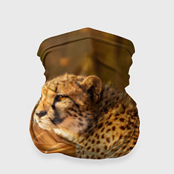 Бандана-труба Дикая кошка, цвет: 3D-принт