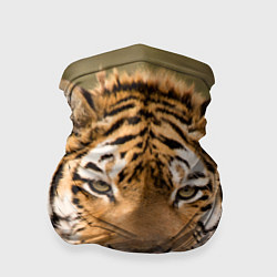 Бандана-труба Милый тигр, цвет: 3D-принт