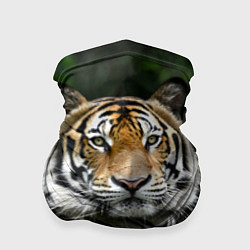 Бандана-труба Тигр в джунглях, цвет: 3D-принт