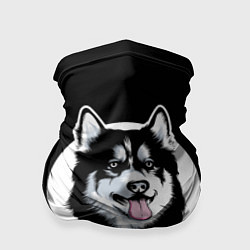 Бандана-труба Собака Хаски Husky, цвет: 3D-принт