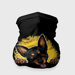 Бандана-труба Пинчер Miniature Pinscher, цвет: 3D-принт