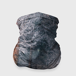 Бандана-труба Зимний еловый лес, цвет: 3D-принт