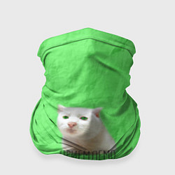 Бандана-труба Приемлемо кот мем, цвет: 3D-принт