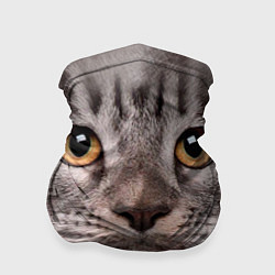 Бандана-труба Котик, цвет: 3D-принт