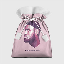 Подарочный мешок LeBron James: Poly Violet