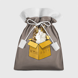Мешок для подарков Котик в коробке, цвет: 3D-принт