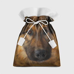 Мешок для подарков Взгляд собаки, цвет: 3D-принт