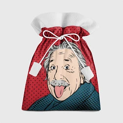 Подарочный мешок Альберт Эйнштейн: Поп-арт