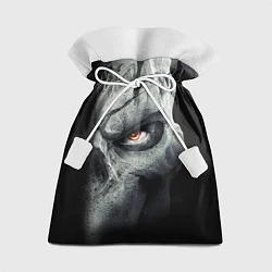 Подарочный мешок Darksiders Skull