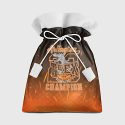 Подарочный мешок T-rex Champion 23
