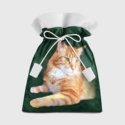 Подарочный мешок Мейн кун рыжий кот