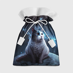 Подарочный мешок Мемный кот в космосе