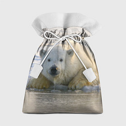 Мешок для подарков Белый медведь ожидает, цвет: 3D-принт