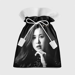 Подарочный мешок Blackpink Rosanna Park Chae-hyun