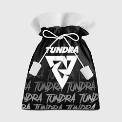 Мешок для подарков Tundra style, цвет: 3D-принт