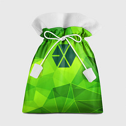 Подарочный мешок Exo green poly