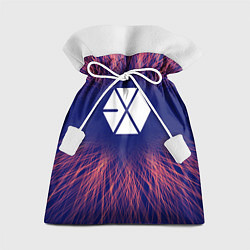 Подарочный мешок Exo red energy