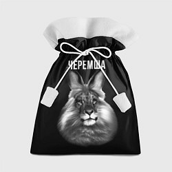 Подарочный мешок Черемша мем