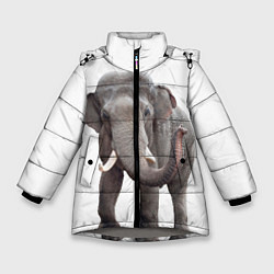 Куртка зимняя для девочки Большой слон, цвет: 3D-светло-серый