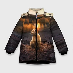 Куртка зимняя для девочки Солнечный зайчик, цвет: 3D-черный