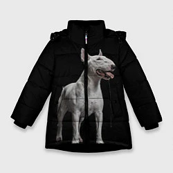 Куртка зимняя для девочки Bully, цвет: 3D-черный