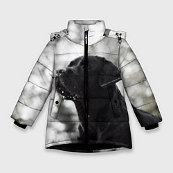 Куртка зимняя для девочки Лабрадор Марк, цвет: 3D-черный