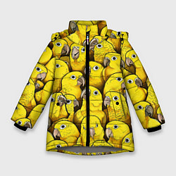Куртка зимняя для девочки Попугаи, цвет: 3D-светло-серый