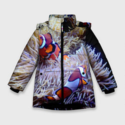 Куртка зимняя для девочки Клоуны в актинии, цвет: 3D-черный