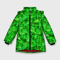 Куртка зимняя для девочки Зелёные листья - текстура, цвет: 3D-красный