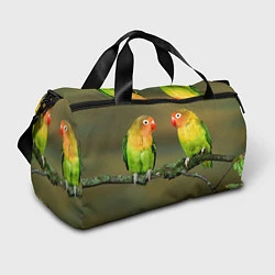 Спортивная сумка Два попугая