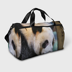 Спортивная сумка Загадочная панда