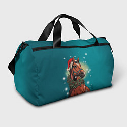 Спортивная сумка Конь в шапке
