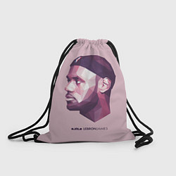 Мешок для обуви LeBron James: Poly Violet